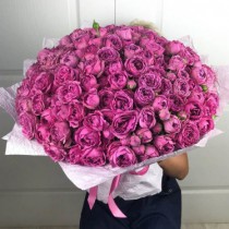 101 Peony rose